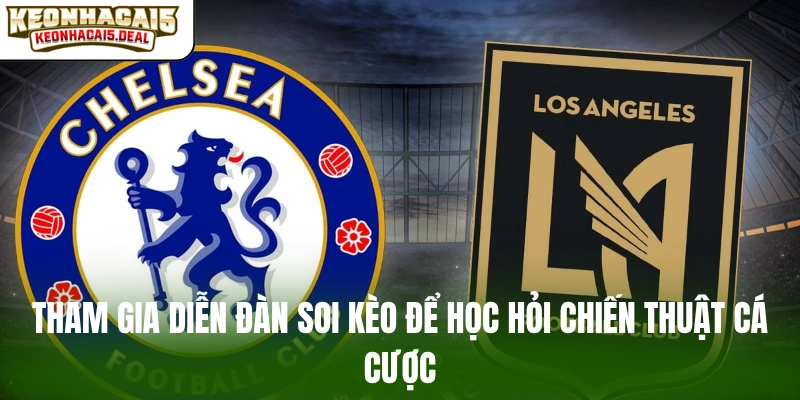 Tham gia diễn đàn soi kèo để học hỏi chiến thuật cá cược