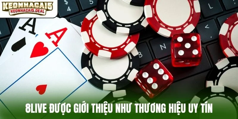 8live được giới thiệu như thương hiệu uy tín