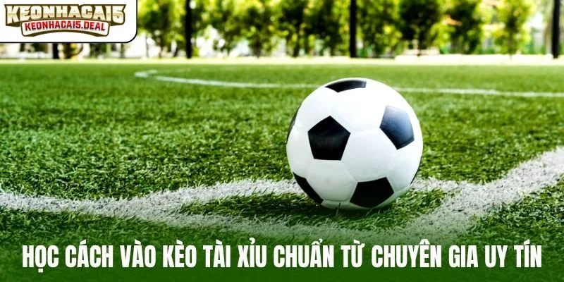 Học cách vào kèo tài xỉu chuẩn từ chuyên gia uy tín