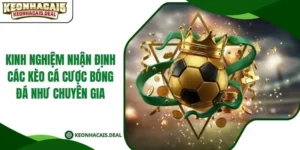 Kinh Nghiệm Nhận Định Các Kèo Cá Cược Bóng Đá Như Chuyên Gia