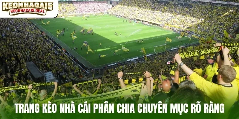 Trang kèo nhà cái phân chia chuyên mục rõ ràng